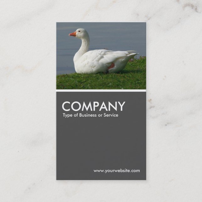 Goose 70pc Gray Business Card (Front)
