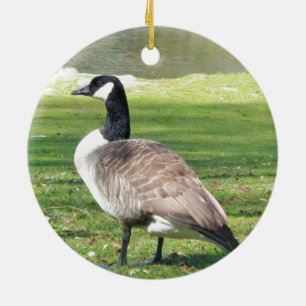Goose at the waterfront, Wildlife Animals, Nature Ceramic Ornament
