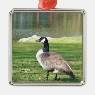Goose at the waterfront, Wildlife Animals, Nature Metal Ornament