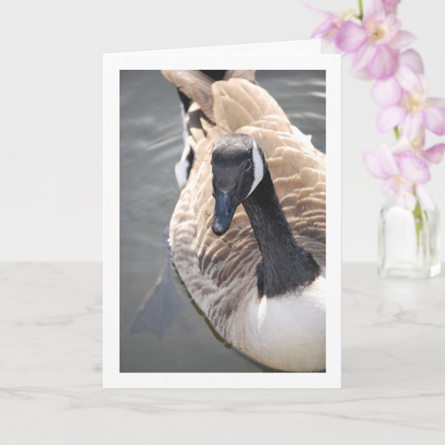 Goose Bird in Lake Portrait Card (Orchid)
