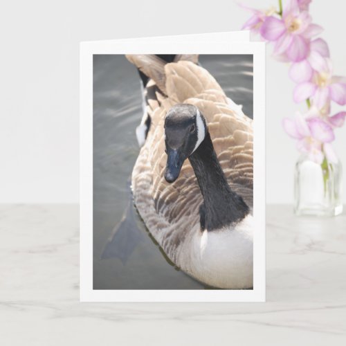 Goose Bird in Lake Portrait Card