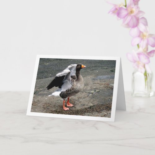 Goose Bird Portrait Card