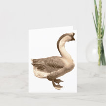 Goose blank card