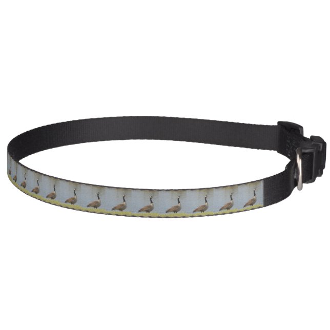 Goose By Pond Dog Collar (Right)