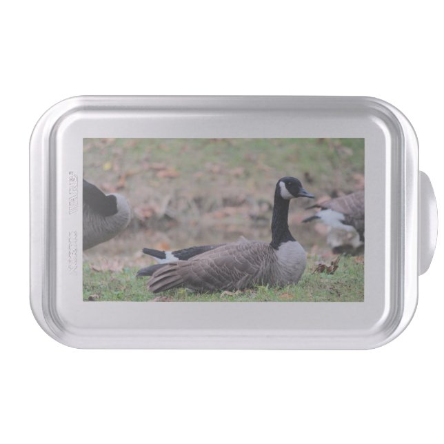 Goose  cake pan (Front)