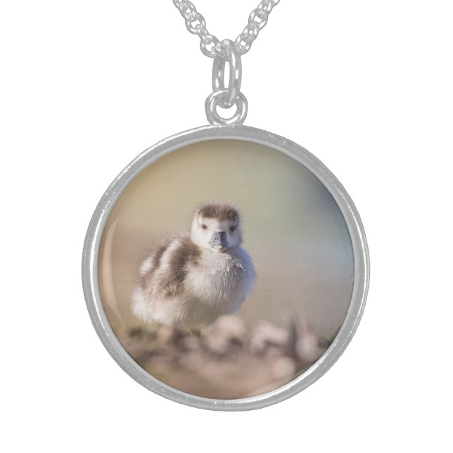 Goose Chick Nature Photo Sterling Silver Necklace (Front)