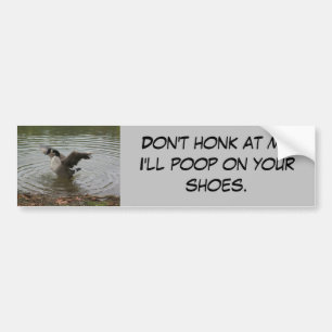 Goose "Don't Honk at Me" Bumper sticker