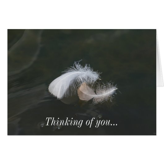 Goose Feathers Floating Cards (Front Horizontal)