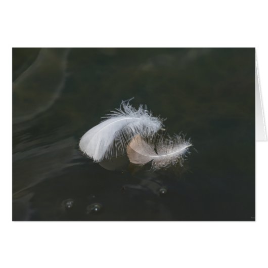 Goose Feathers Floating Cards (Front Horizontal)
