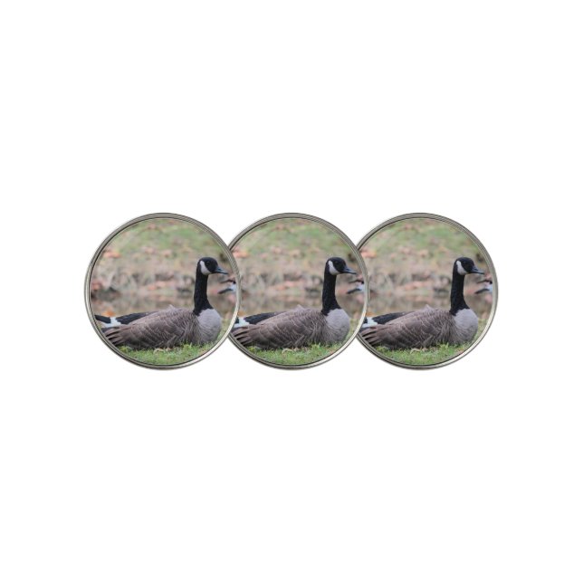 Goose   golf ball marker (3 Up)