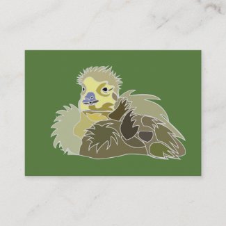 Goose Gosling Baby Goose Bird