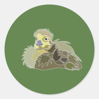 Goose Gosling Baby Goose Bird