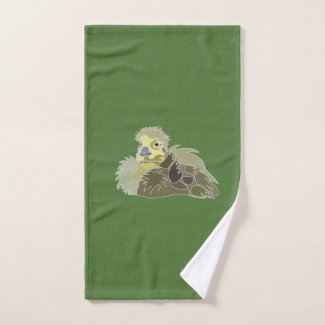 Goose Gosling Baby Goose Bird