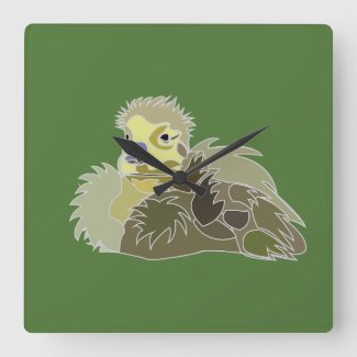 Goose Gosling Baby Goose Bird