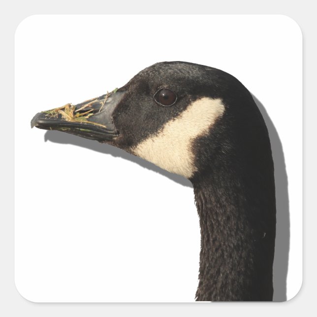 Goose Head Sticker (Front)