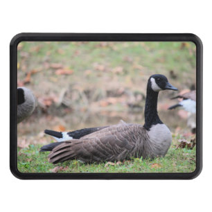 Goose hitch cover