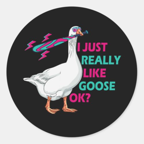 Goose I Just Really Like Goose Retro Goose Birds  Classic Round Sticker