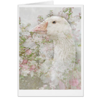 Goose in Blossoms Cards
