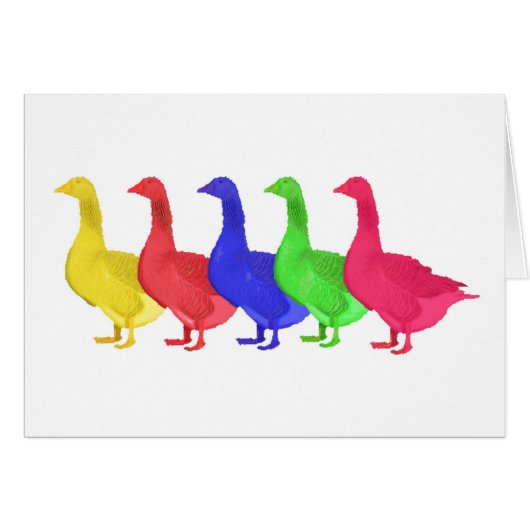 Goose in Five Colors Cards (Front Horizontal)