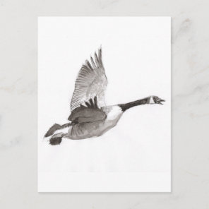 Goose in flight drawing postcard