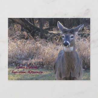 , Goose Island,LaCrosse, Wisconsin Postcard