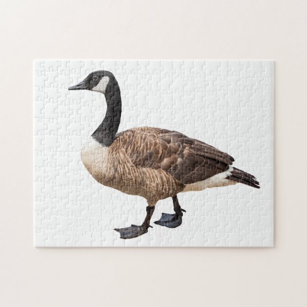 puzzle goose