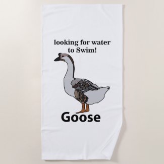 Goose Looking For Water To Swim African Goose