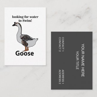 Goose Looking For Water To Swim African Goose