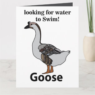 Goose Looking For Water To Swim African Goose Card