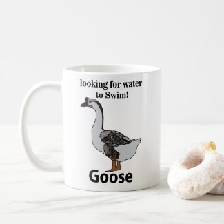 Goose Looking For Water To Swim African Goose