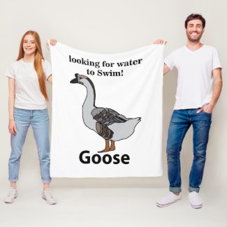 Goose Looking For Water To Swim African Goose
