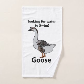Goose Looking For Water To Swim African Goose