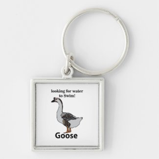 Goose Looking For Water To Swim African Goose