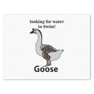 Goose Looking For Water To Swim African Goose