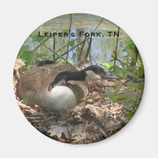 Goose nesting magnet