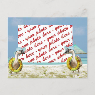 Goose on Vacation Photo Frame Postcard