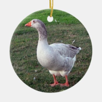 Goose Ornament by DonnaGrayson at Zazzle