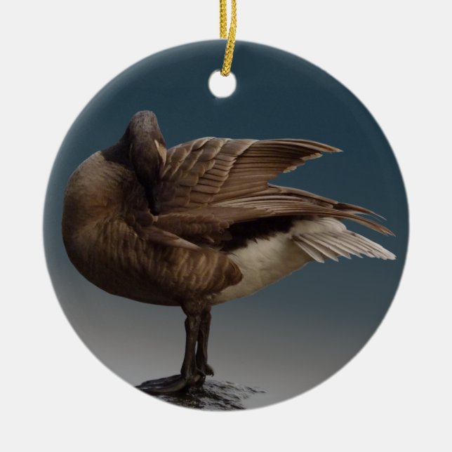 Goose Ornament Personalized Canada Goose Souvenir (Front)