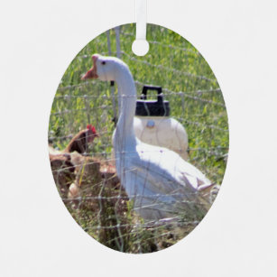 Goose Photo Ornament
