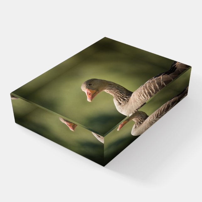 Goose Photo Paperweight (Angled)