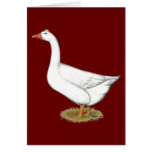 Goose Roman Tufted (Front)