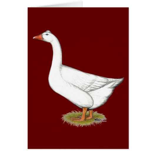 Goose Roman Tufted Cards (Front)