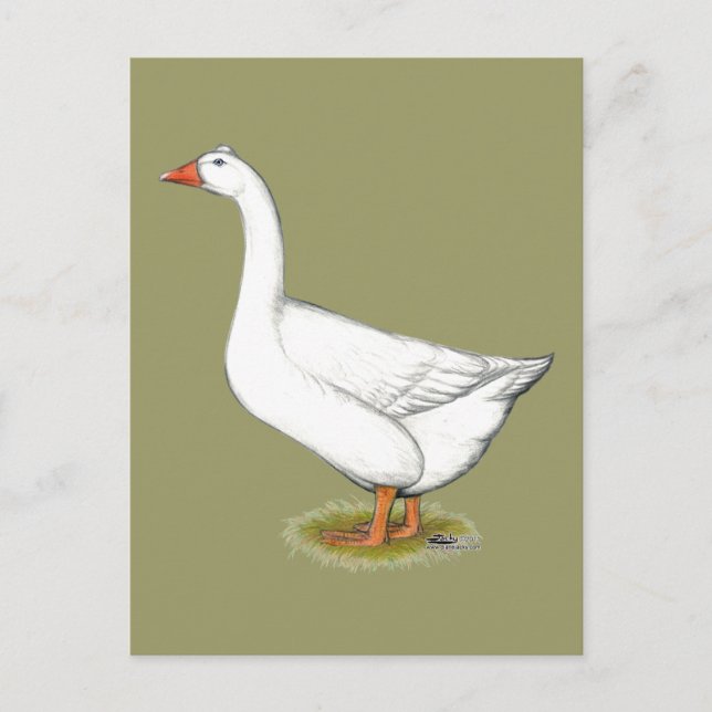 Goose Roman Tufted Postcard (Front)