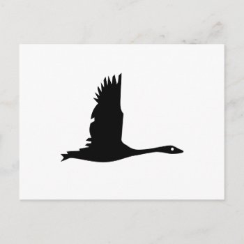 Goose Silhouette In Black On White Postcard by stdjura at Zazzle