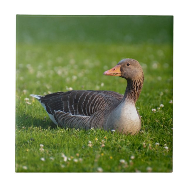 Goose Tile (Front)