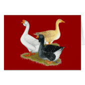 Goose Trio (Front Horizontal)