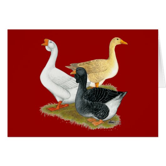 Goose Trio Cards (Front Horizontal)