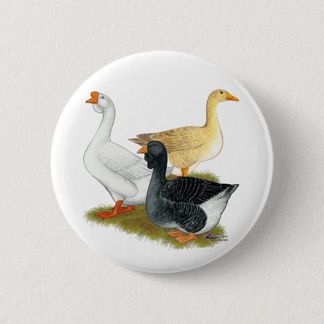 Goose Trio Pinback Button (Front)
