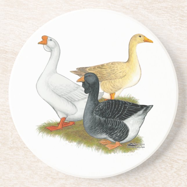 Goose Trio Sandstone Coaster (Front)