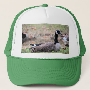 Goose      trucker hat